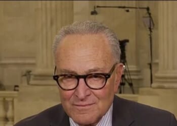 ICE Agents 'Don't Belong in Our Cities', Need an Investigation of Minneapolis Shooting