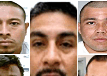 ICE Arrests Sex Offenders, Burglars, Drug Traffickers in Nationwide Sweep