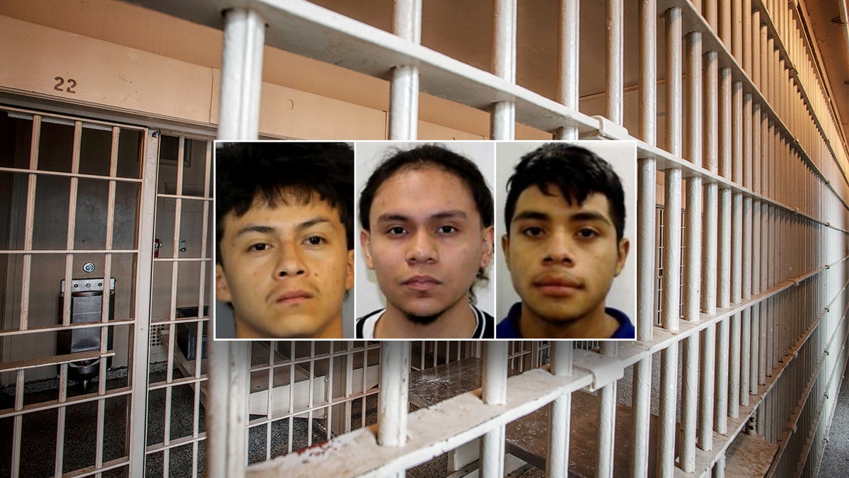 3 male mugshots over a photo of jail cells.