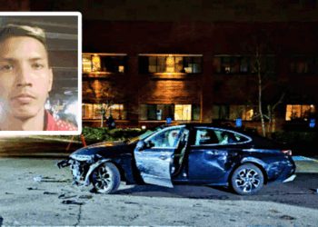 Illegal Charged with Ramming Border Patrol Vehicle in Violent Attack