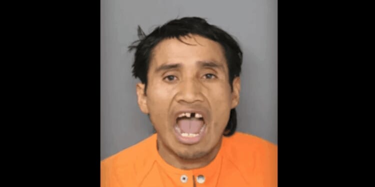 Illegal alien 'monster' accused of throwing rock into school bus, fracturing skull of young girl placed on ICE detainer: Feds