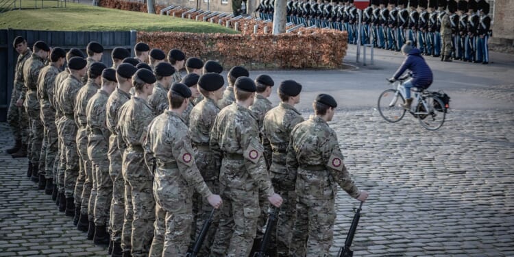 A group of Danish soldiers standing at attention.