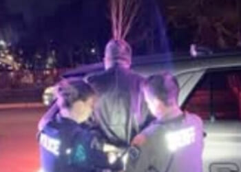 Man Who Called Trump a 'Pedophile' Allegedly Tried Meeting Child for Sex