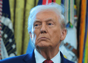 President Trump Vows to Fix Minnesota's Fraud Problem — 'It Was a Giant Scam'