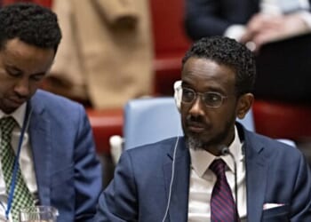 Somalia Assumes Rotating Presidency of U.N. Security Council