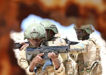 Somalia Falls Apart After Mogadishu Breaks with UAE