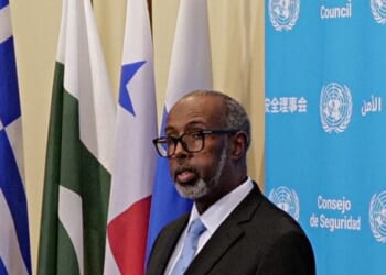Somalia's Ambassador to the UN Linked to Medicaid Fraud in Ohio