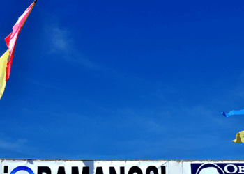 The Radical Foreign Groups That Helped Elect Obama and Whose Remnants Remain a DNC Tent Pole