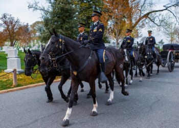 A horse-led procession at Arlington Cemetery.