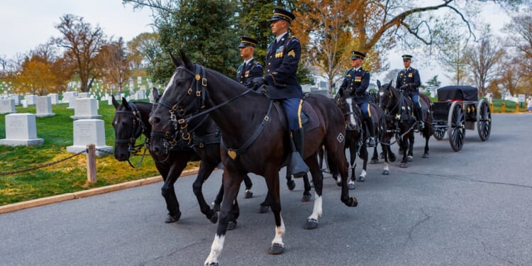 A horse-led procession at Arlington Cemetery.