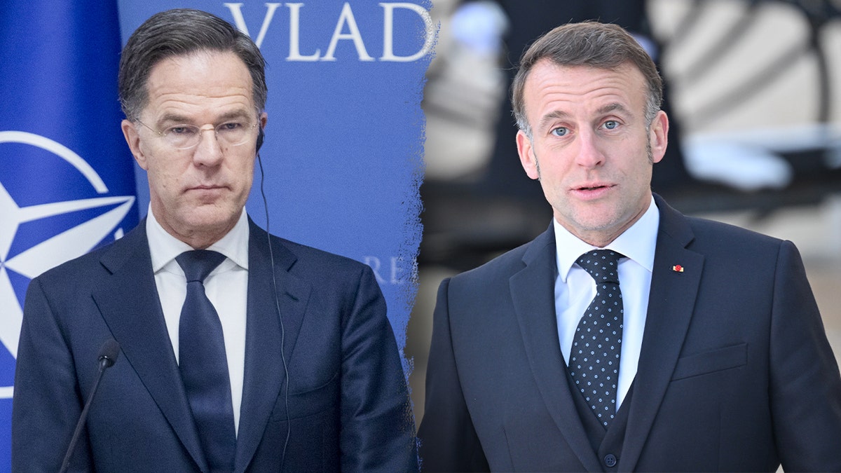 A split of Mark Rutte and Emmanuel Macron.