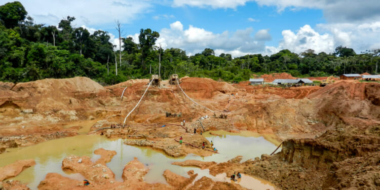 Gold mining place in Guyana, local indigenous people clear workspace from stones and check it for gold nuggets. Amazon and Essequibo basin deforestation. Guyana, Brazil, Venezuela gold mining deforestation.
