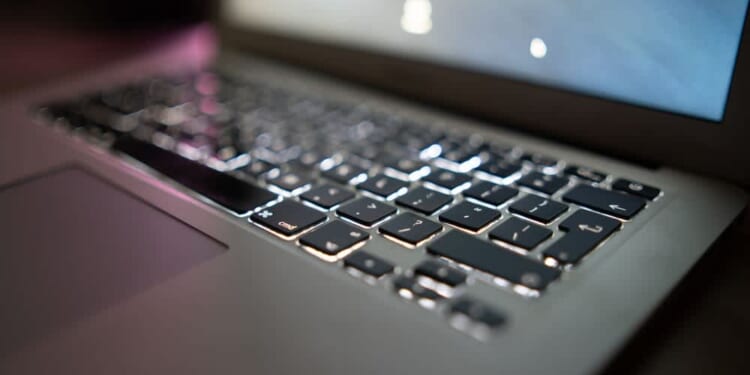 Virtual march for life looks to ‘flood’ social media with pro-life message – Catholic World Report