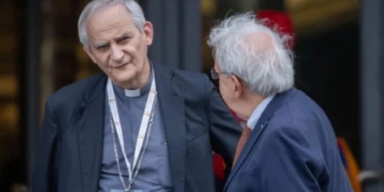 ‘The answer to suffering is not to offer death,’ cardinal says of assisted suicide bill in Italy