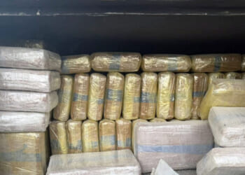 Two Mexican Army Soldiers Caught Smuggling Cocaine for Michoacan Cartel