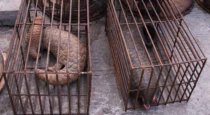 A “spiritual entertainment” inspired by faith, international intrigue, and Cardinal Zen – Catholic World Report