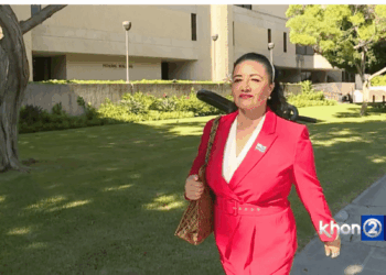 In A Big Win For Free Speech, Judge Blocks Hawaii Law Censoring Political Satire