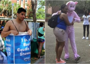 Colorado Dem Seeking Swing Seat in Ranching District Spent Years Calling Animal Agriculture ‘Horrific’