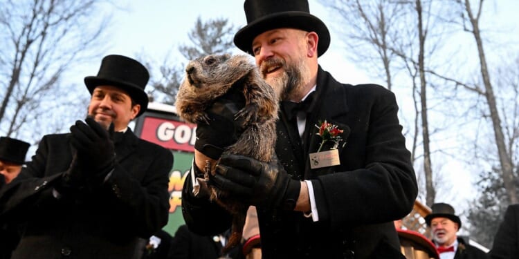 Josh Shapiro, Republicans defend Punxsutawney Phil after PETA criticism