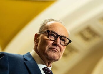 'Dead on arrival': Chuck Schumer says Dems will 'go all out' to defeat voter ID bill