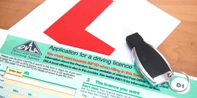 'Do it NATIONWIDE!' Florida mandates English-only driver’s tests, following Trump's lead