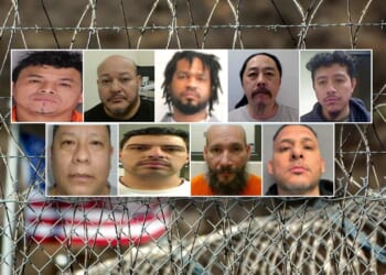 Weekend ICE sweep lands multiple pedophiles, murderer and elderly abuser: DHS