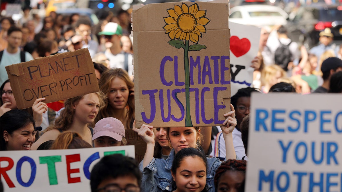 Climate protesters holding signs in New York City
