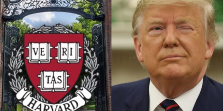 ‘Completely Wrong’: Trump Demands $1 Billion From Harvard, Contradicting New York Times Report