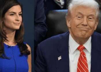 VIDEO: Trump berates CNN's Kaitlan Collins over questions on Epstein files: 'You are the worst reporter'