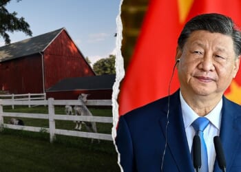 Lawmakers demand answers from FFA over Chinese Communist Party ties