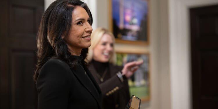 Tulsi Gabbard Providing FBI Oversight Isn’t ‘Dangerous To Our Democracy’
