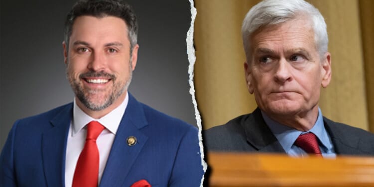 Louisiana Republican drops US Senate bid after Trump backs Rep Julia Letlow