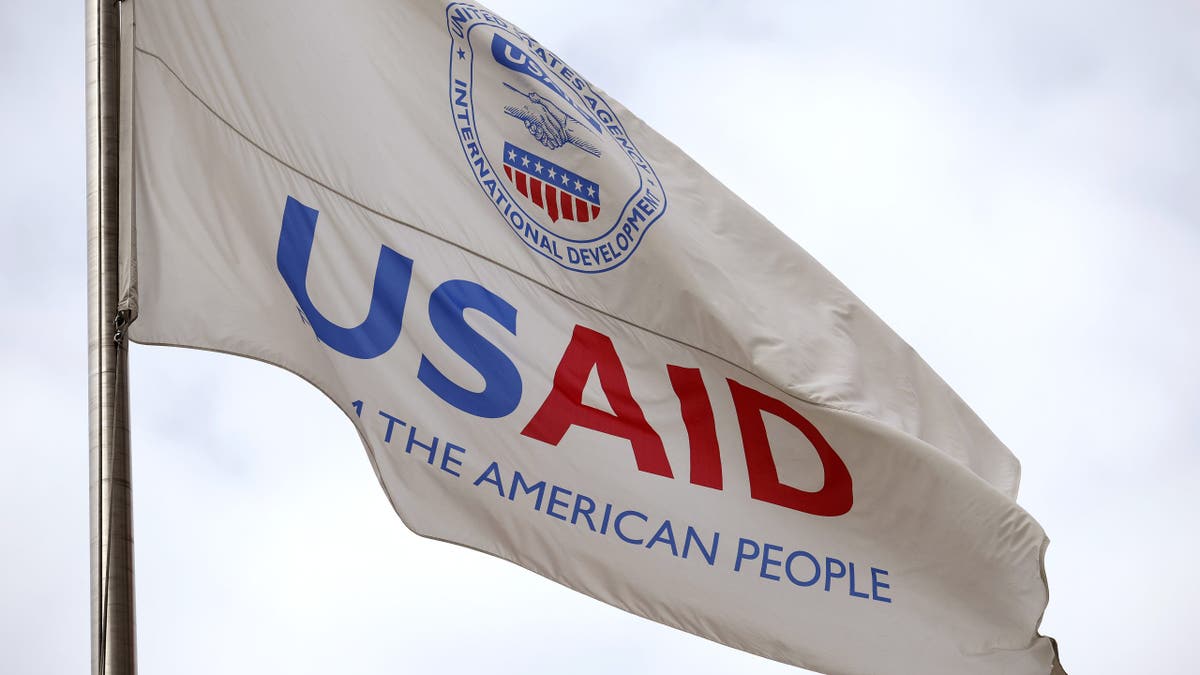 USAID flag