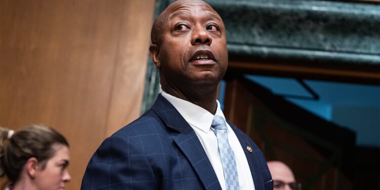 Tim Scott warns GOP faces tough Senate races in 2026 midterm elections