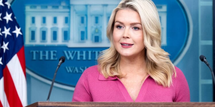 Karoline Leavitt defends FBI Fulton County ballot seizure