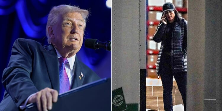 Trump defends Tulsi Gabbard FBI raid presence at Fulton County election office