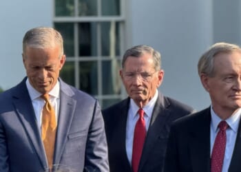 Elon Musk: It’s Time To Use The Talking Filibuster To Pass The SAVE Act