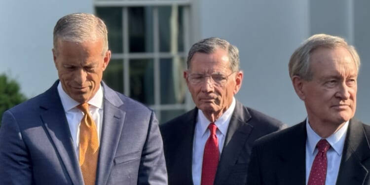 Elon Musk: It’s Time To Use The Talking Filibuster To Pass The SAVE Act