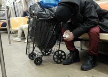 Random complaint about homeless woman urinating on NYC train goes viral: 'That's why we must abolish the nuclear family'