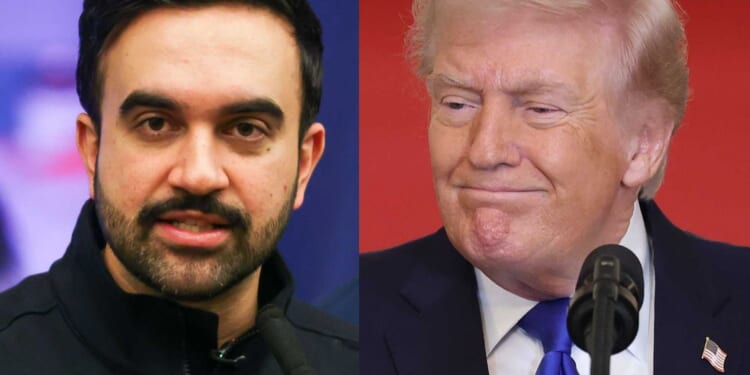 Mamdani secures release of Columbia student influencer from ICE after phone call with Trump