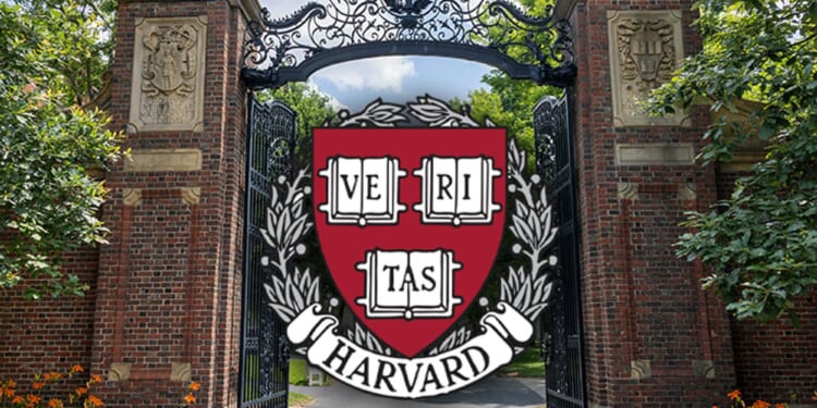 Harvard Bends Hiring Freeze for Lecturer in 'Latinx Studies' and Professor of Podcasting