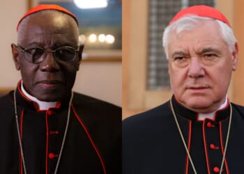 Cardinals criticize Society of St. Pius X for plan to consecrate bishops without papal approval