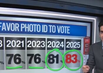 Data Shows Photo ID to Vote 'Not Controversial' — 'Vast Majority' Agree with Nicki Minaj