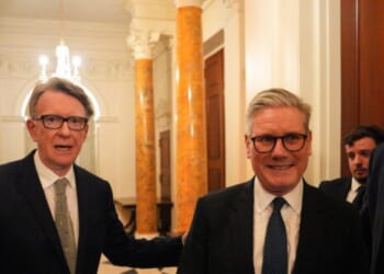 Former UK Ambassador Resigns from Labour Party over Epstein Ties