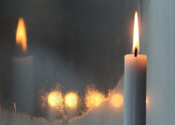 Groundhog Day and the Light of the World