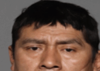 ICE Arrests Illegal Alien Accused of Rape, Strangulation After Sanctuary NYC Set Him Free