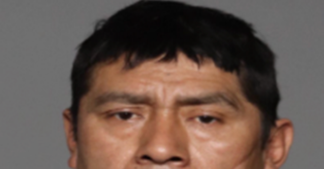 ICE Arrests Illegal Alien Accused of Rape, Strangulation After Sanctuary NYC Set Him Free