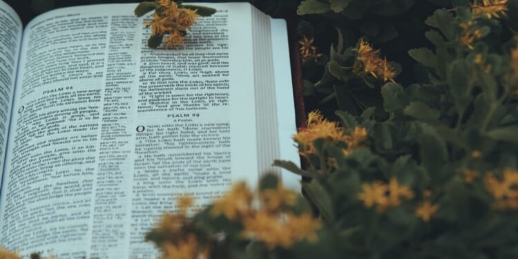 Receive God's Love Daily through Scripture