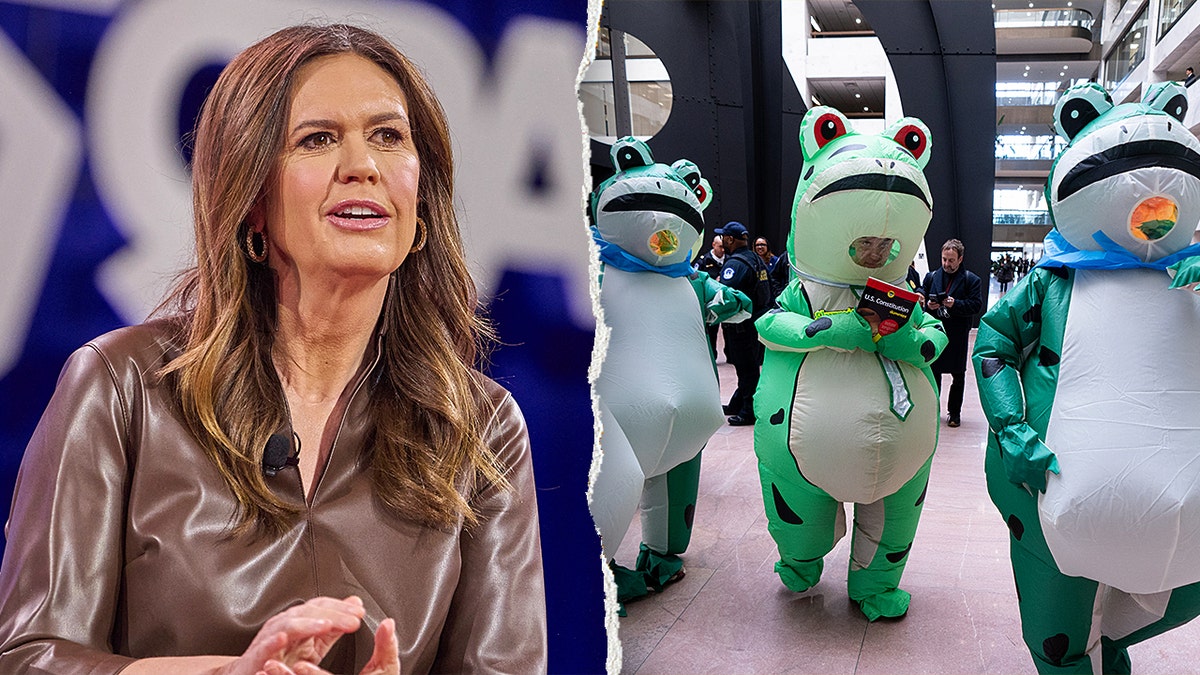 Sanders and frog SOTU split