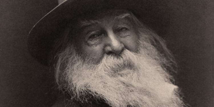 Whitmanian democracy